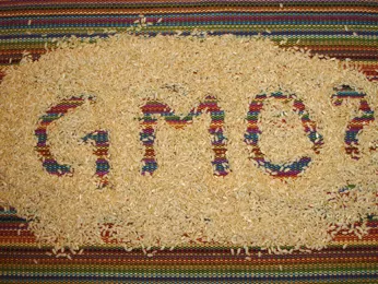Leszavazták a GMO-jelölést Kaliforniában