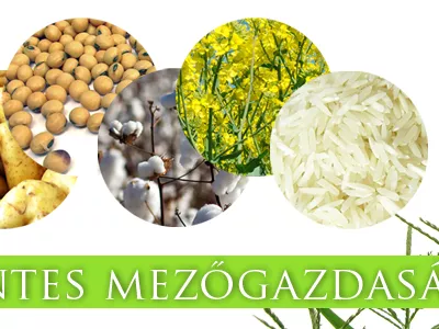 Magyarországnak GMO-mentesnek kell lennie
