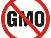 Szerbia feloldaná a GMO élelmiszerek tilalmát