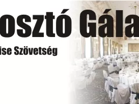 Átadták a Magyar Franchise Szövetség 2012. évi díjait
