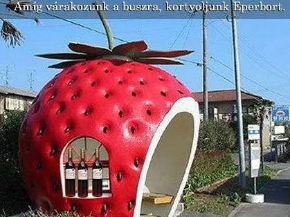 Jogszabály védheti a magyar gyümölcsborokat