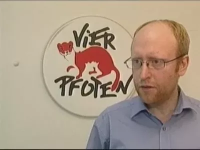 Külföldi érdekek a Négy Mancs mögött