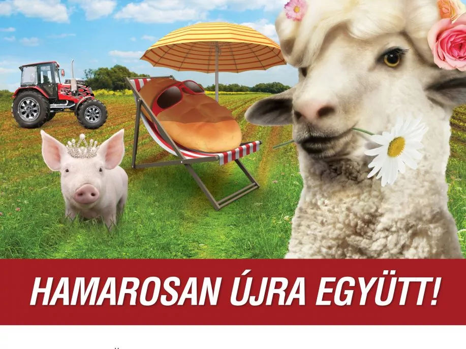 Szerdán nyílik az OMÉK
