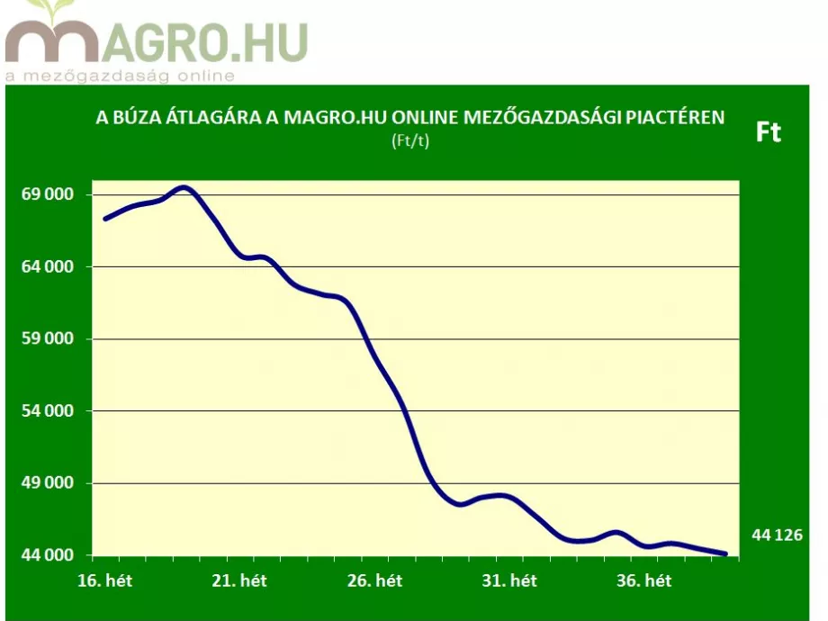 Bajban lehetnek a magyar gazdák