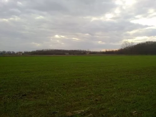 Több őszi szántóföldi növényt vetnek Vas megyében