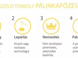 Törkölypálinka fokról fokra