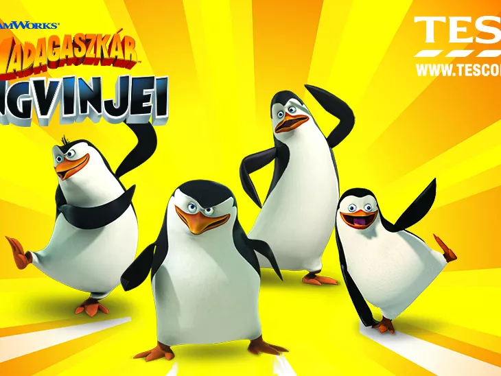 Pingvinek a Tescóban