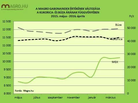 Áprilisban világszerte drágult a kukorica