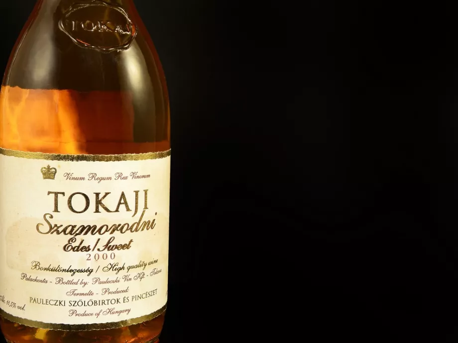 Orbán Viktor meneszti a Grand Tokaj Zrt. felügyelőbizottságát