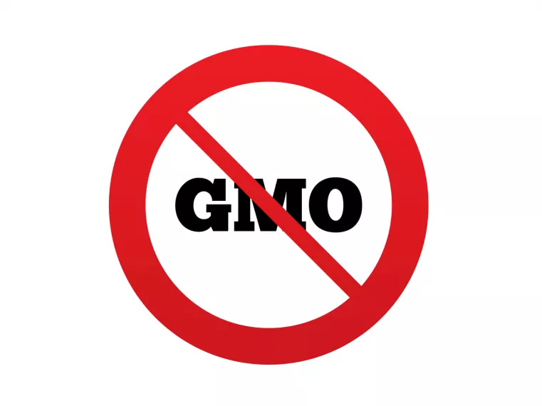 A GMO-mentesség immár szabadon feltüntethető az élelmiszereken