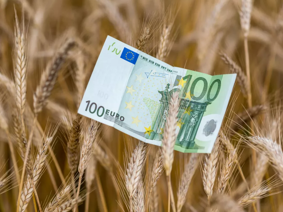 Most kell pénzt tenni az agráriumba!