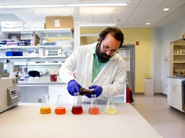 Savanyú savóból főznek sört Cornellben