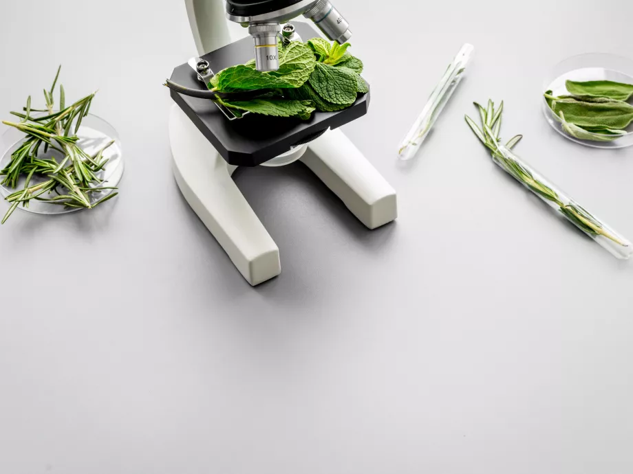 Stratégiai kérdés a GMO-mentesség