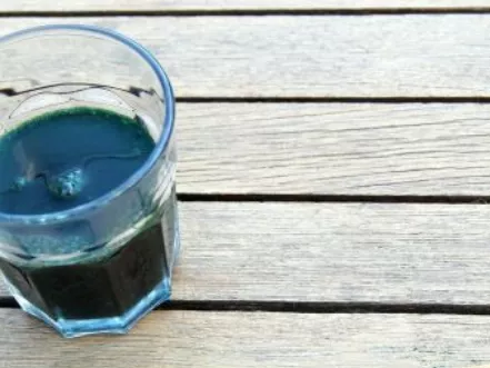 Mikroalgaolaj az új élelmiszerek között