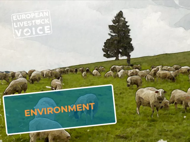 „European Livestock Voice”