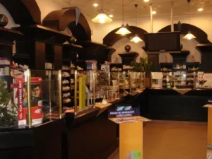 Közel 7 milliárd a patikák éves bevétele vegyiárukból