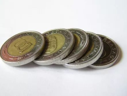 „Ellenszolgáltatás nélküli bevételszerzés” az élelmiszerlánc-felügyeleti díj?