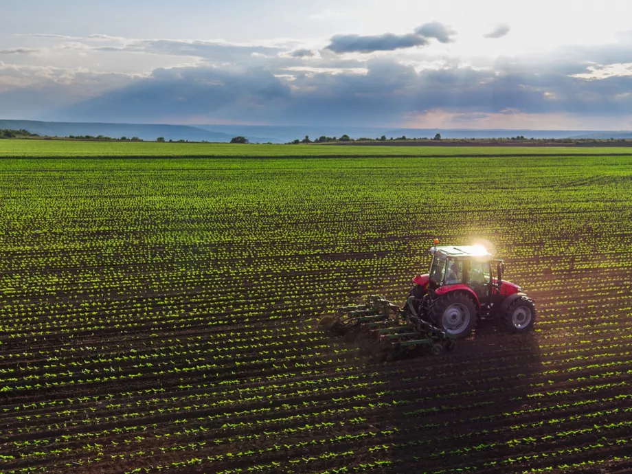 Tízből nyolc agrárcégnek az alapanyagárak növekedése a legnagyobb kihívás