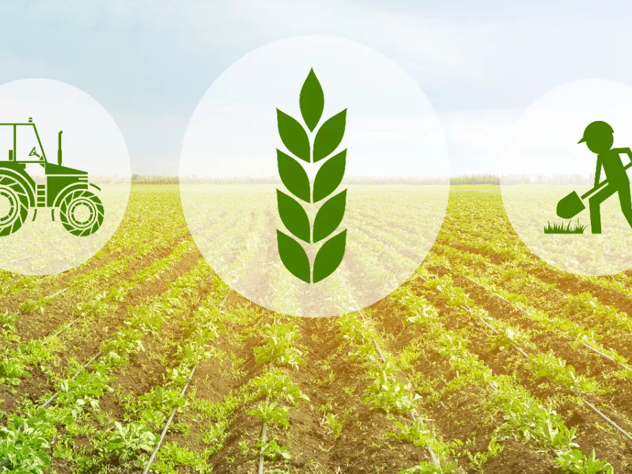 Már csaknem 2900 milliárd forint támogatás jutott el a gazdákhoz az új agrárciklusban