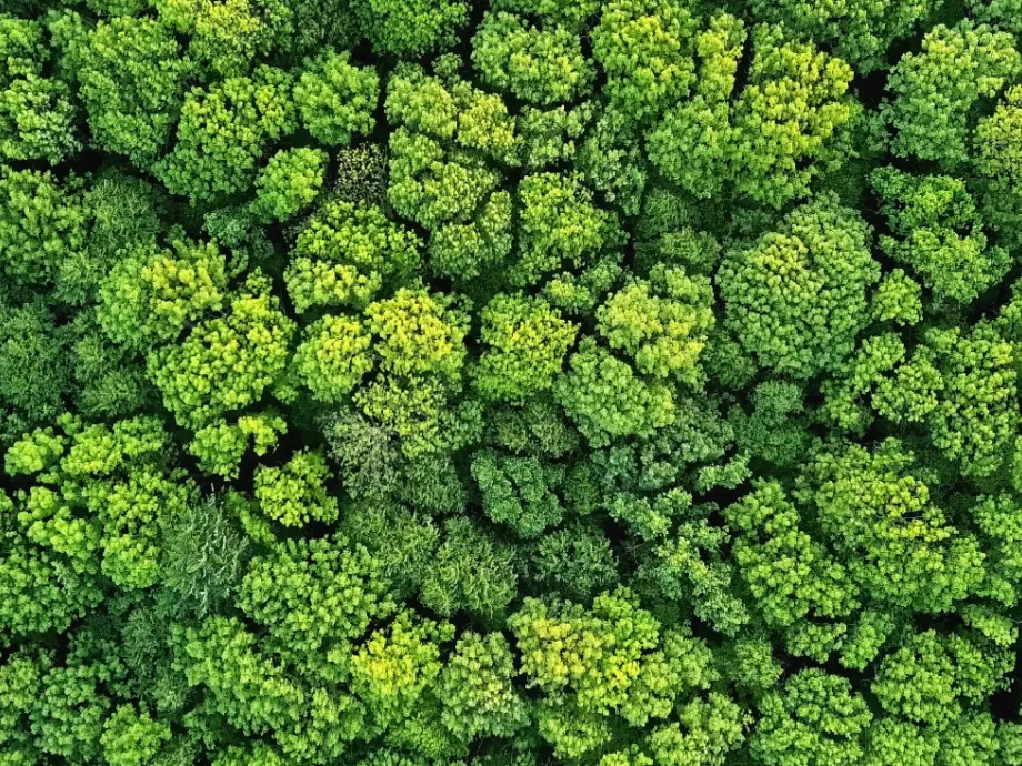 Elő tudja-e mozdítani a fenntarthatóságot a kereskedelem?