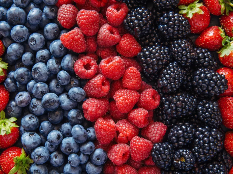 Az árrésstop megszüntetését sürgeti a FruitVeB