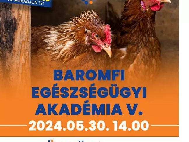 Hasznos állatorvosi tanácsok baromfitartóknak