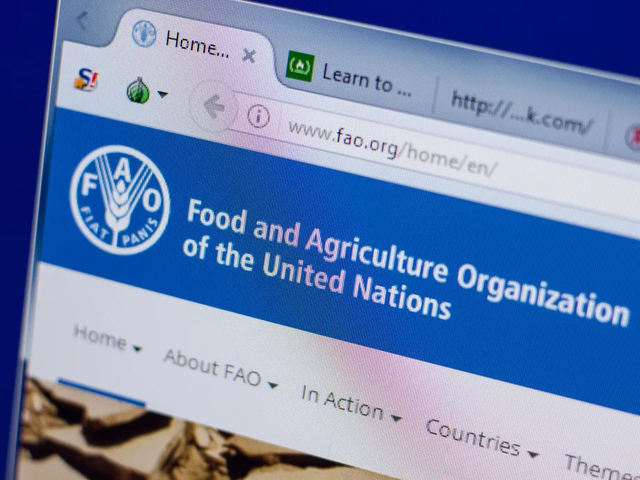 Csökkent a FAO globális élelmiszerár indexe decemberben