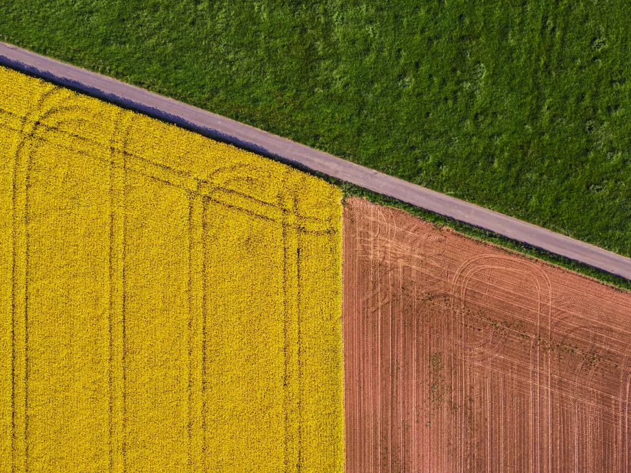 6,50%-ra csökkent az alapkamat, hogyan tovább?