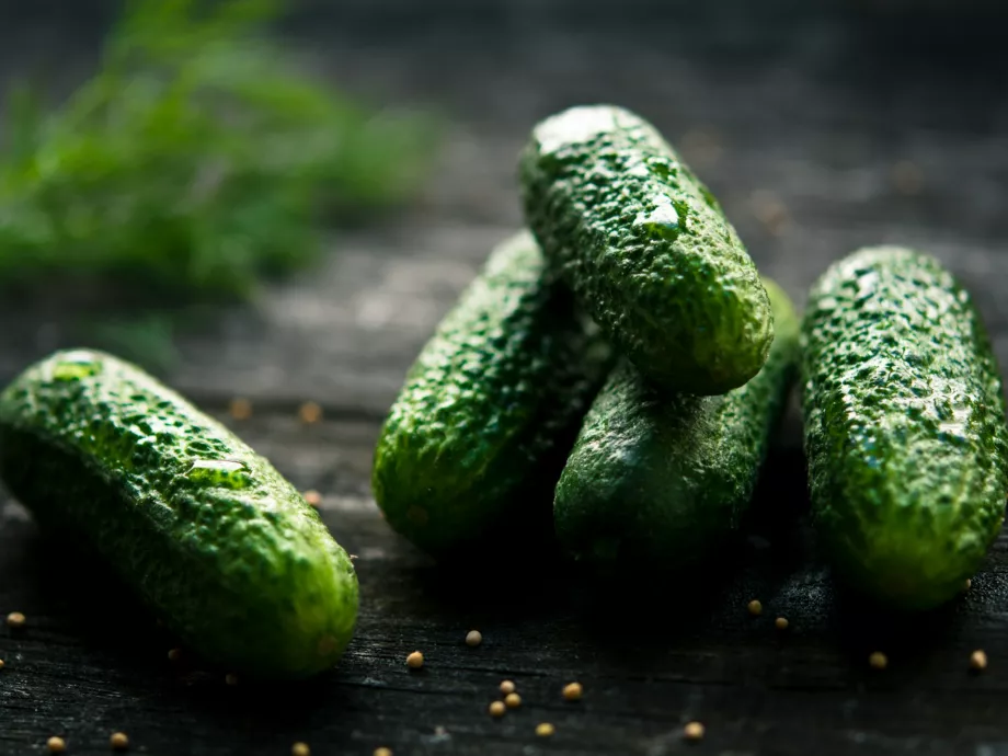 A biogazdálkodás bevált megoldásokat kínál a fenntartható agrár-élelmiszeripari átállásban