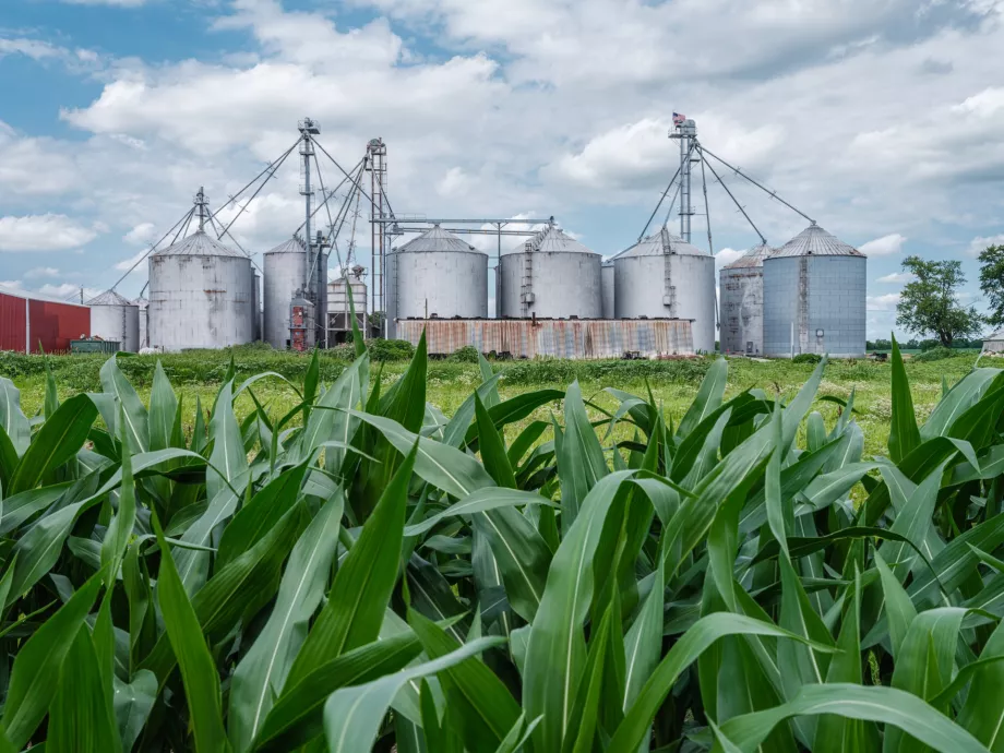 Brüsszel döntött: Egyszerűsödik az EU-s Közös Agrárpolitika (KAP)