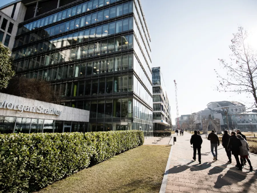 Fenntartható megoldásokat fejlesztő hazai startupok a Morgan Stanley-nél