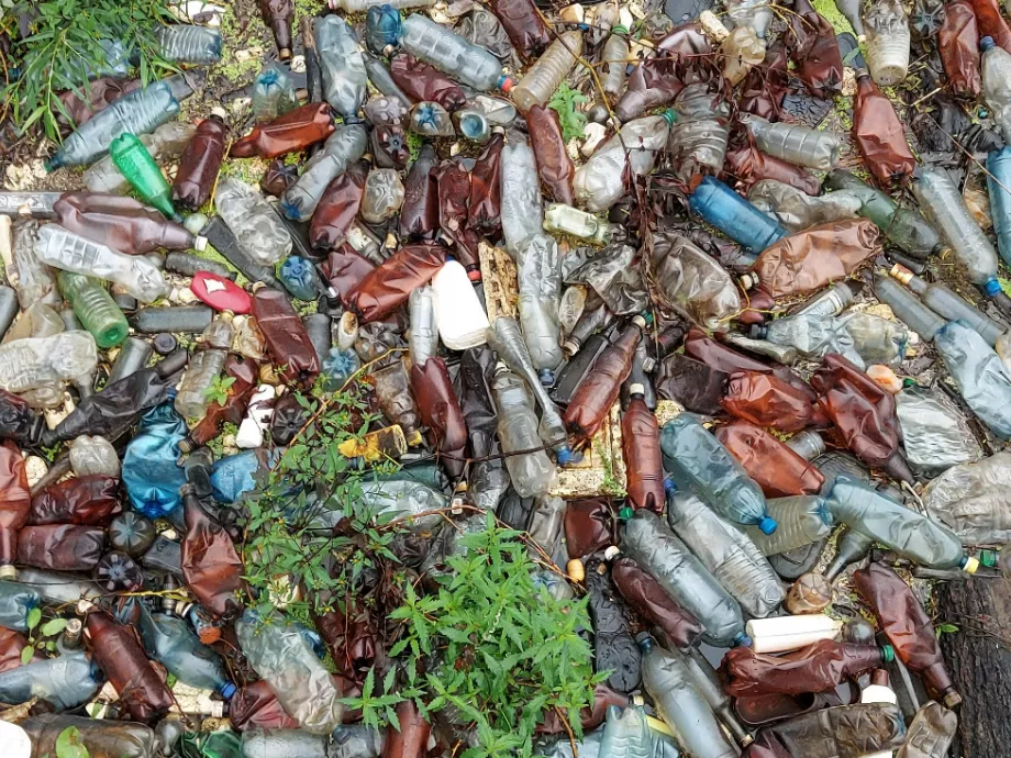 Minden várakozást felülmúlt közös hulladékmentesítési akciójával a PET Kupa és a Diageo