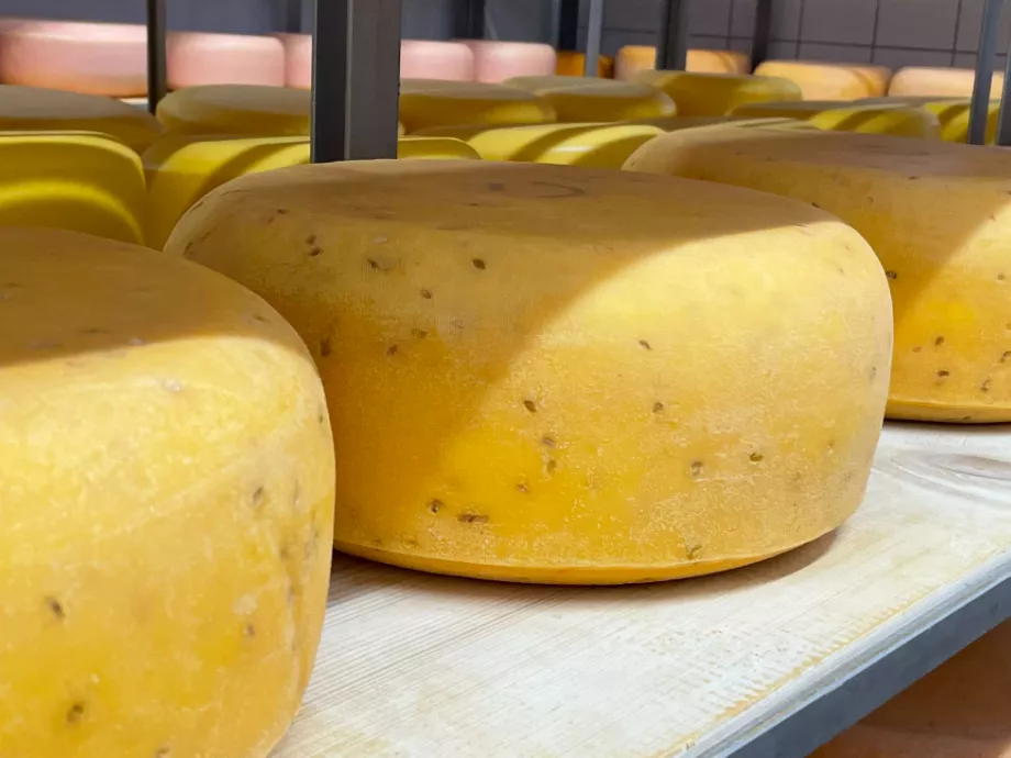 Ezek a hazai sajtok nyertek a World CheesE Award-on