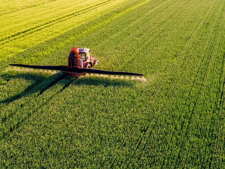 Élelmiszerbiztonságunk is függ az új GMO szabályozástól